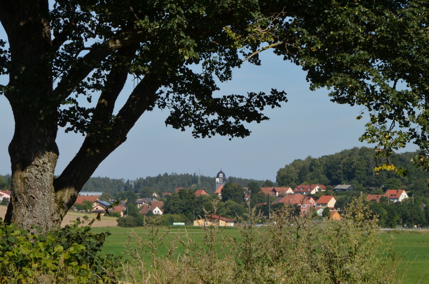 Blick aus dem Klingental